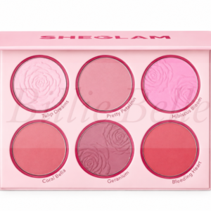 پالت رژگونه شیگلم SHEGLAM مدل ۶ رنگ